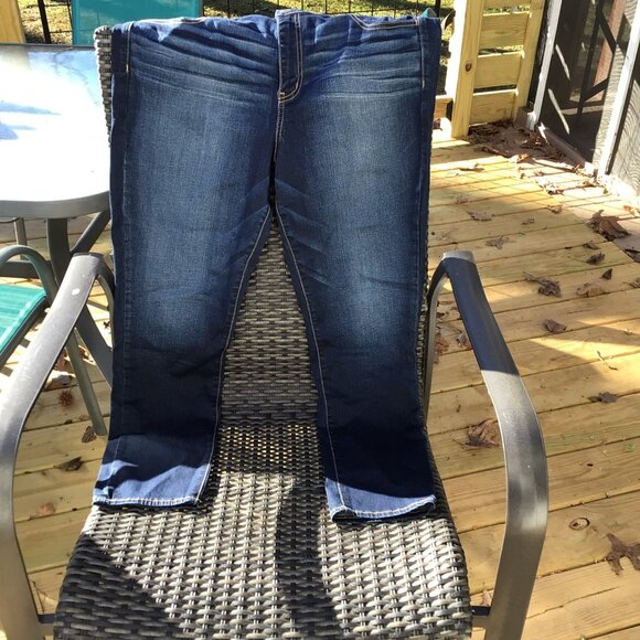 American Eagle Outfitters Denim - American Eagle Size 18 Skinny Dark Blue Jean